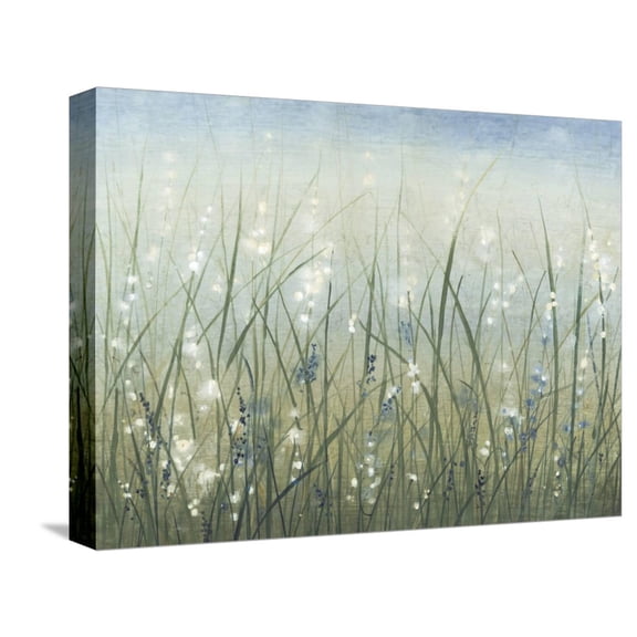 Art.com Bliss I Stretched Canvas Print Wall Art by Tim OToole, 16" x 12"