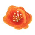 thumbnail image 3 of Sentmoon Flowers Artificial Realistic Fake Plants Simulation Flower Head Plastics Flower Head Decoration DIY Handmade Fake Flower Material Simulation Flower Decoration, 3 of 7