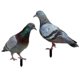 thumbnail image 1 of Home & Garden > Decor > Lawn Ornaments & Garden Sculptures, 1 of 1