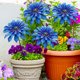 thumbnail image 5 of Estaca decorativa de jardín con flor de metal y acabado resistente a la oxidación para jardines, céspedes, patios y entradas de patios., 5 of 8