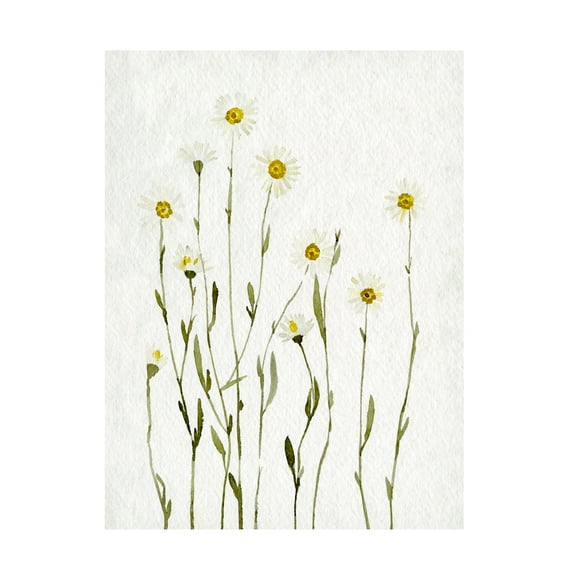 Emma Caroline 'White Antique Daisies I' Canvas Art