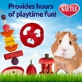 thumbnail image 4 of Kaytee Chew & Treat Toy Box Guinea Pig, 4 of 5