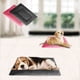 thumbnail image 1 of onlyliua Promoción de Temporada Cama para Perros, Cama Ortopédica de Espuma para Perros, Lavable a Máquina, Disipada En Ambos Lados, Colchón para Perros con Base Antideslizante, Cómoda Cama para Masc, 1 of 7