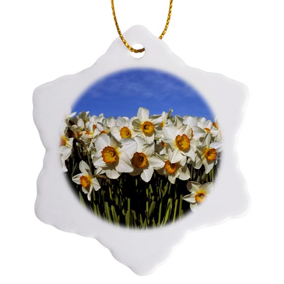 3drose, Oregon Willamette Valley. Dahlia, Tulip Flowers - Us38 Rer0351 - Ric Ergenbright, 3 inch Snowflake Porcelain Ornament