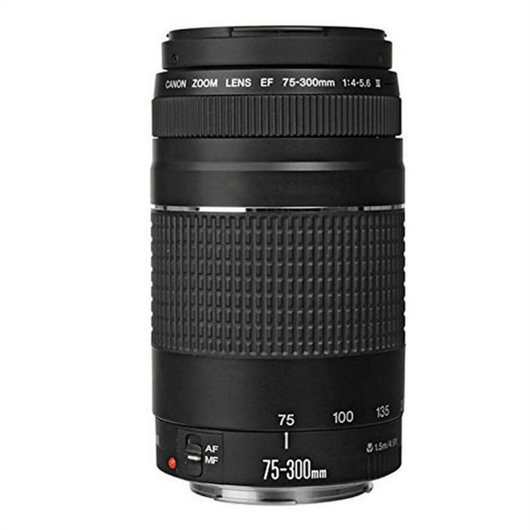 ⭐️美品⭐️Canon EF 75-300 III & EF-EOS M アダプター CANON EF 75-300mm III Lens with EF-EOS M Adapter Lens