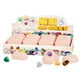 thumbnail image 1 of Kit de excavación científica Gemstone Dig Kit para niños, 1 of 1
