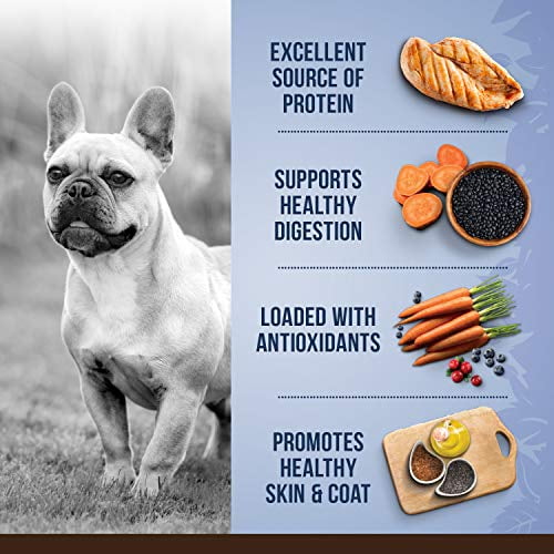 Zoe dog food walmart hot sale