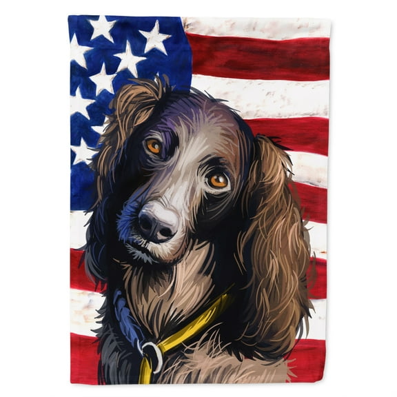 Carolines Treasures CK6685GF Saint-Usuge Spaniel Dog American Garden Size Outdoor-Flags, Multicolor