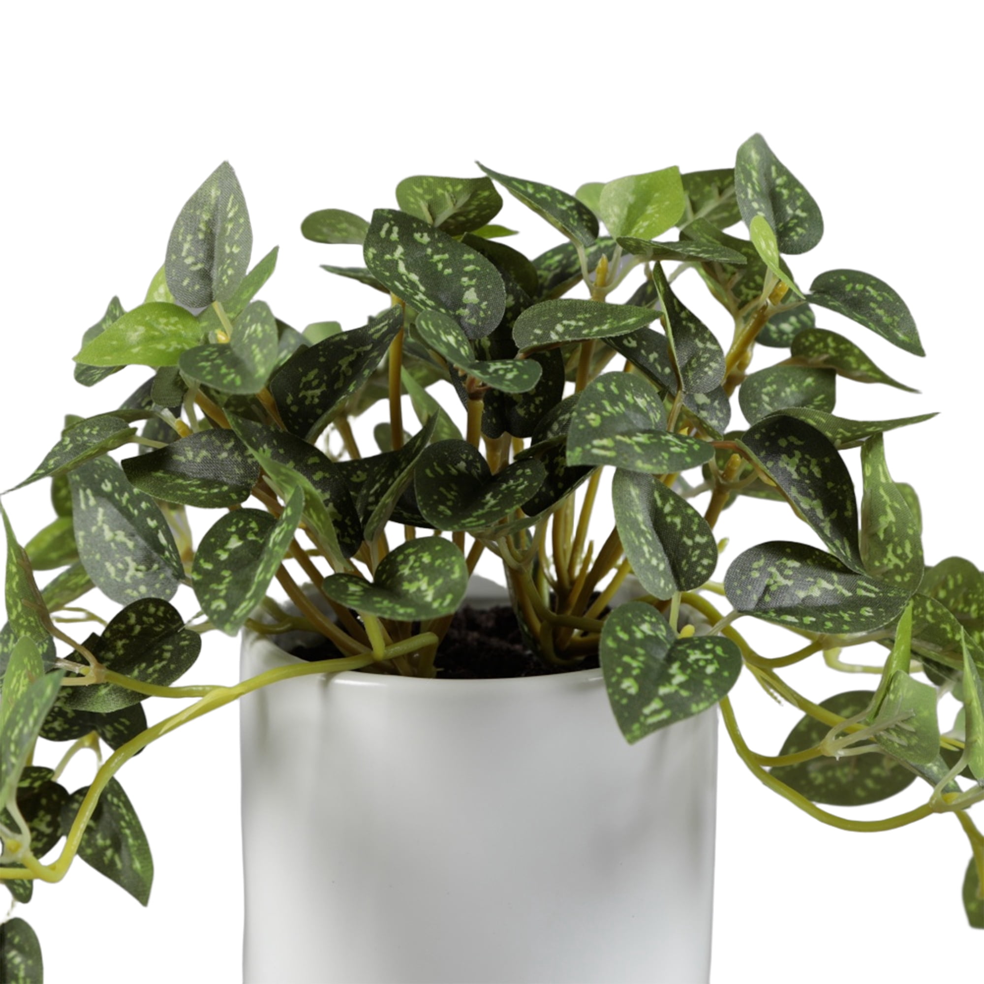 Artificial Trailing Leaf Plant in Ceramic Pot, 9 in H x 7.5 in W x 7.5 in D