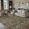 thumbnail image 4 of BERTHMEER 5'x7' Area Rugs for Living Room Vintage Brown Rugs for Bedroom Kitchen Non Slip Washable Carpets Oriental Distressed Home Office Dorm Dining Room Traditional Distressed Throw Rugs, 4 of 8