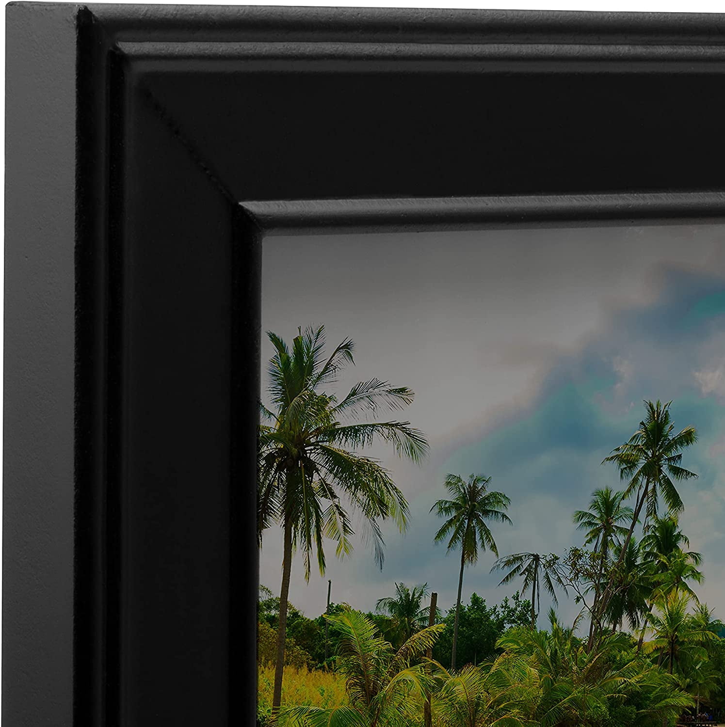 Neil Enterprises Inc. Traditional Black 30" x 10" Panoramic Picture Frame