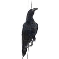 thumbnail image 1 of Realistic Hanging Dead Crow Decoy Lifesize Extra Large Black Feathered Crow, 1 of 5
