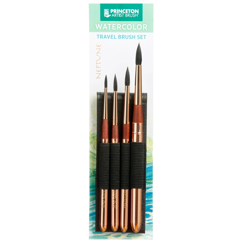 princeton travel brushes