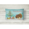 thumbnail image 2 of Carolines Treasures BB9357PW1216 French Turkey Dindon Christmas Canvas Fabric Decorative Pillow, Teal, 12H x16W,, 2 of 3
