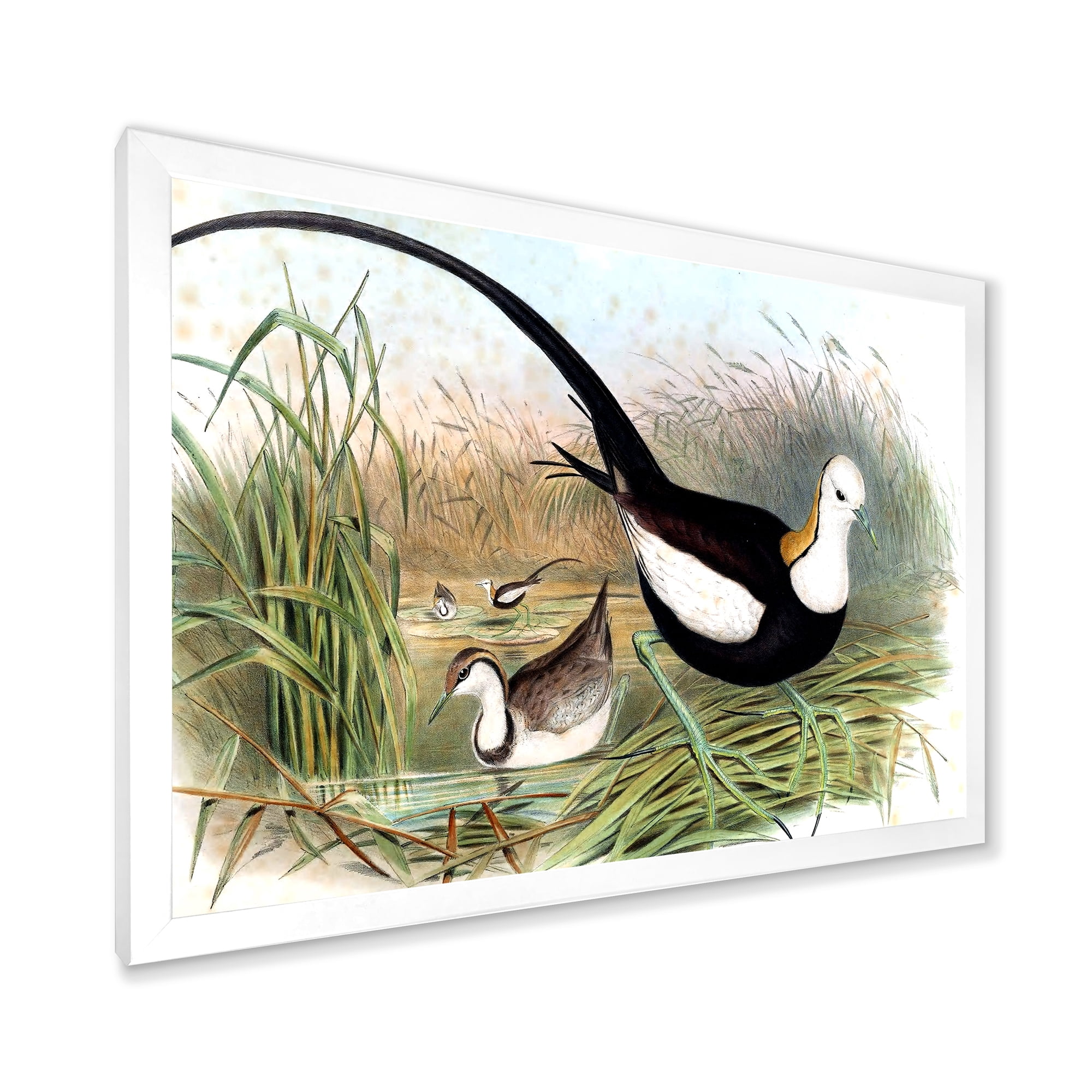 Designart 'Vintage Countryside Birds In Lake' Farmhouse Framed Art Print