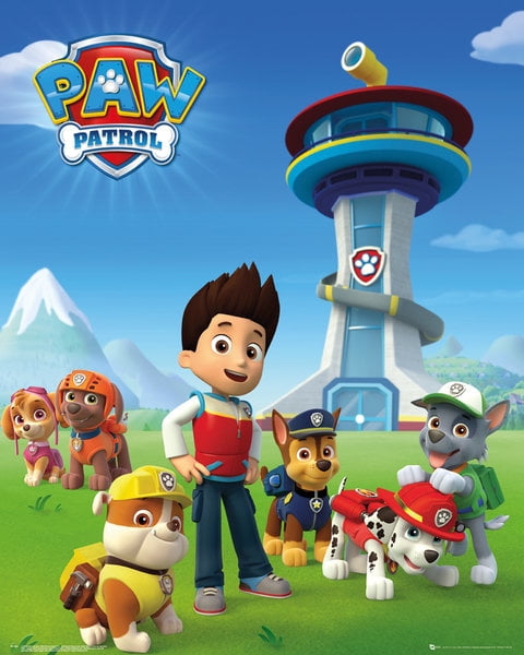 paw patrol team