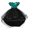 thumbnail image 5 of Vestido de niña Vestido de princesa Vestido de pasarela con cola Vestido de malla peluda con lentejuelas para niña de tamaño mediano, 5 of 5
