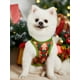 thumbnail image 3 of Polina Brazil 1pc Red & White Striped Christmas Pet Vest With Cute Animal Print For Cats And Dogs, 3 of 4