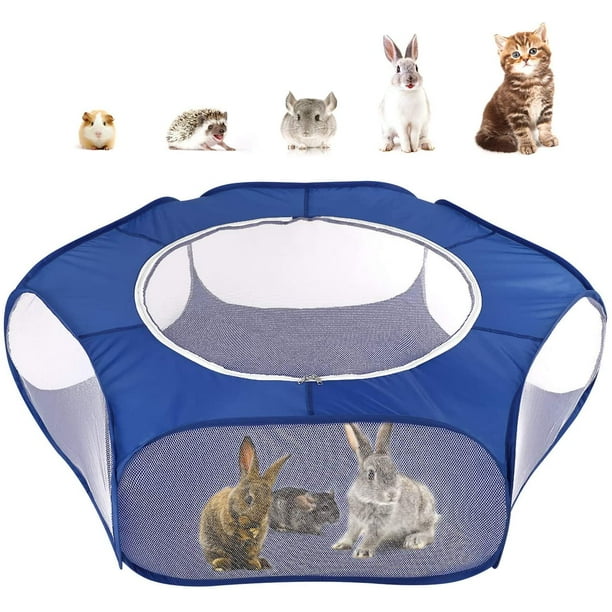 Reptile playpen cheap