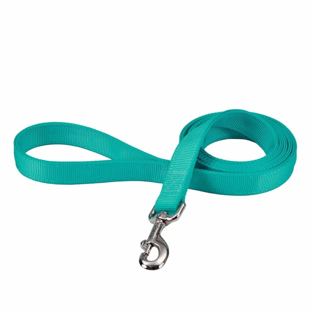 Correa para perro Coastal Bolt Snap, nailon, 2,5 cm x 1,8 m