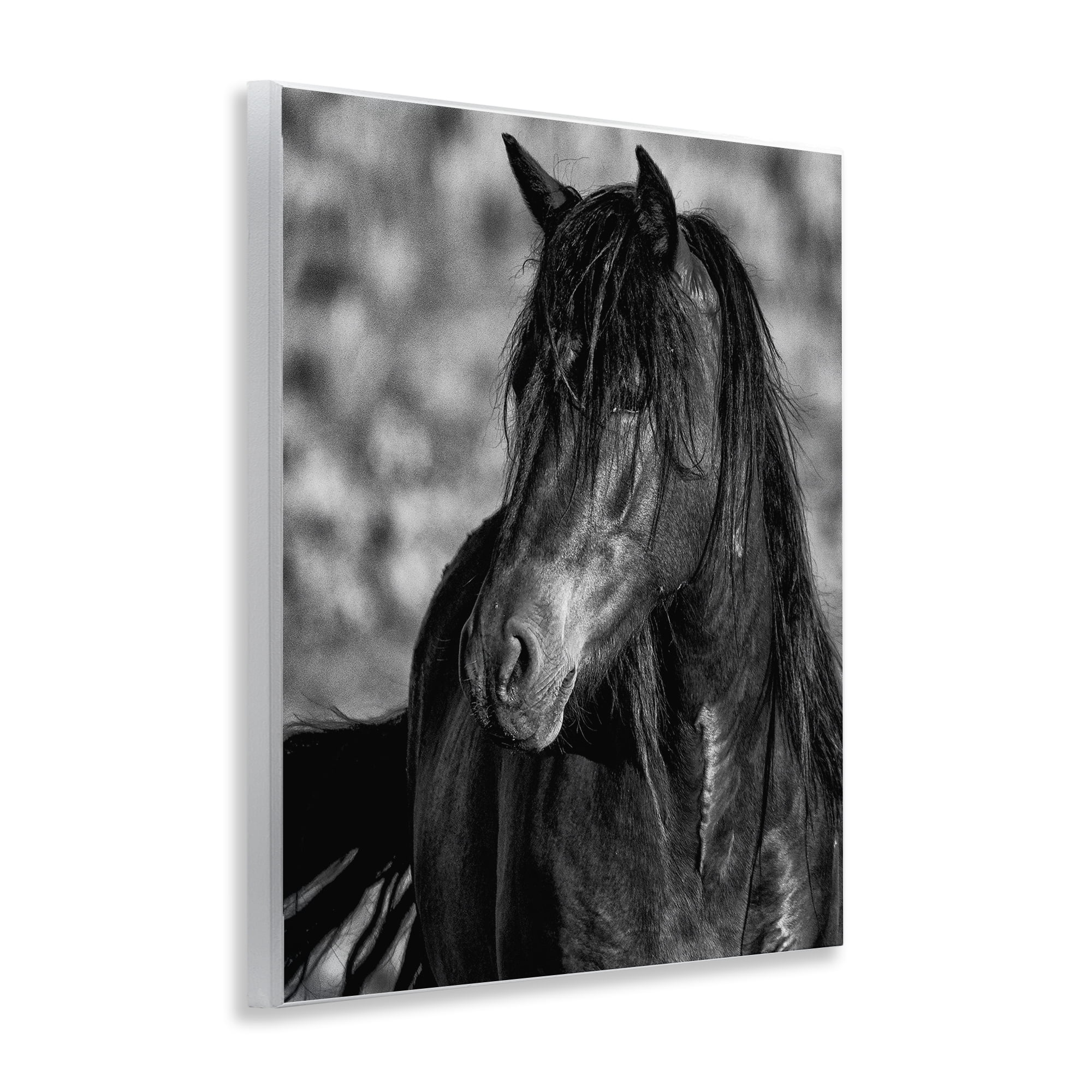 Stupell Industries Beauty In Black Wall Plaque Art, design by Tim West