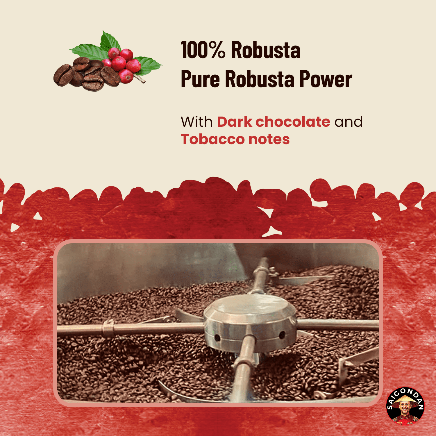 SAIGONDAN Passion Vietnamese Single Origin Robusta Coffee — French Roast Whole Bean, Bold & Rich Flavor, 12 oz