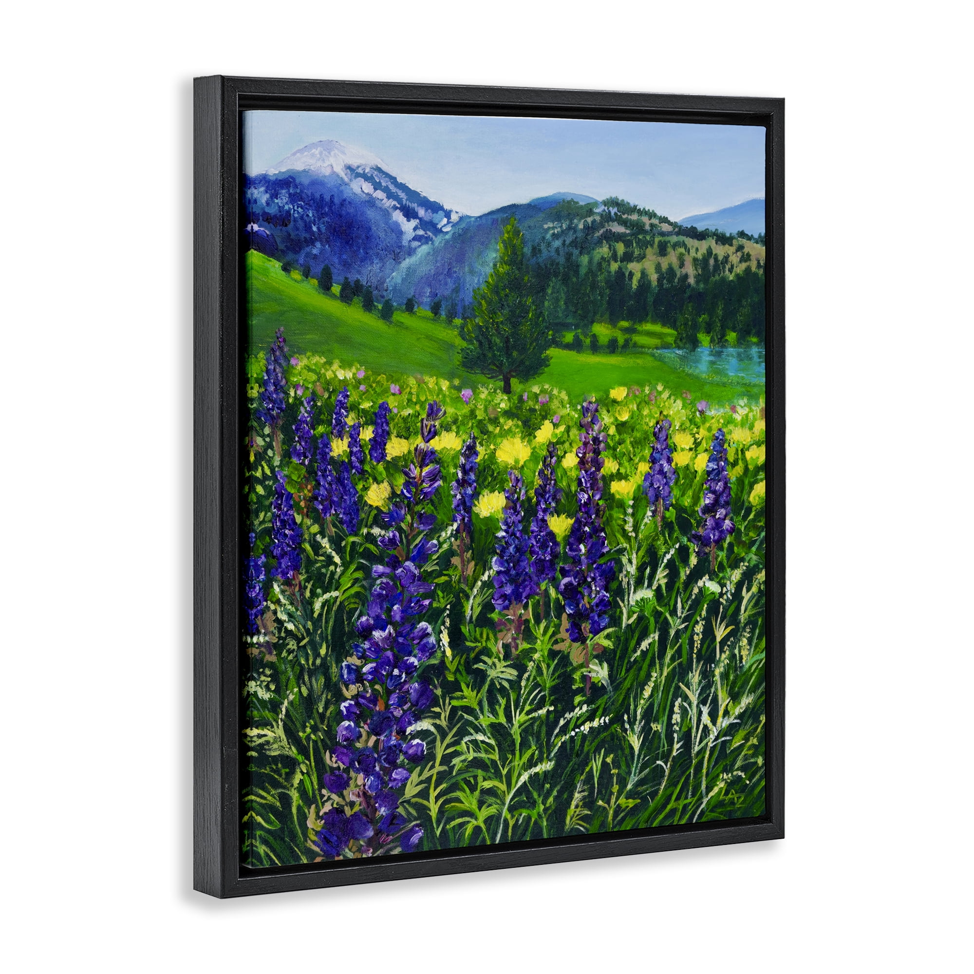 Stupell Industries Flower Speckled Valley Black Framed Floater Canvas Wall Art, design by Lee Ann Zirbes