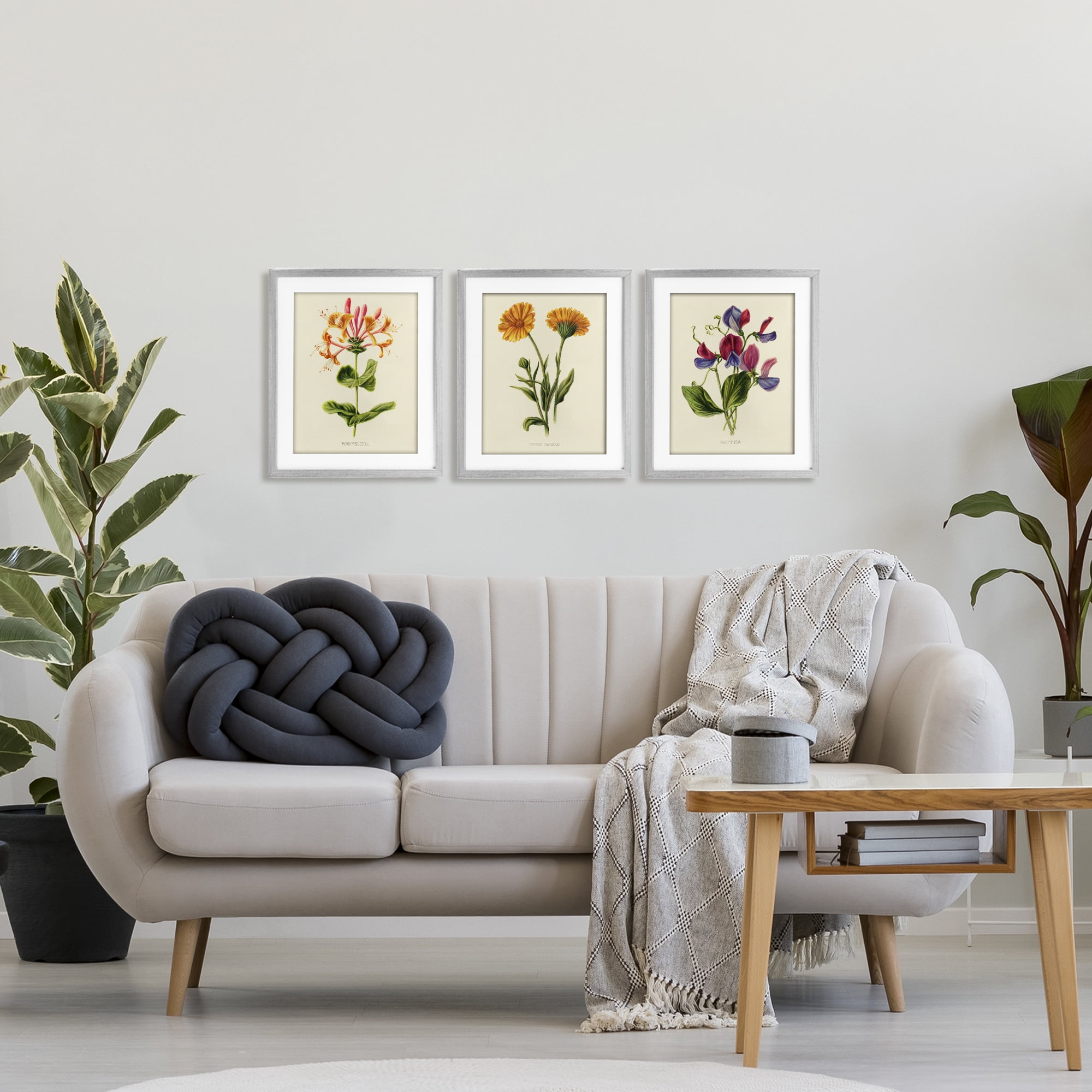Stupell Industries Flowering Plants Vintage Illustration 3 Piece Gray Framed Print Under Glass Set, design by Connie Resch