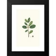 thumbnail image 2 of Aylmer Bourke Lambert 11x14 Black Modern Framed Museum Art Print Titled - Ilex Paraguensis (Miniatute Branch with White Flowers) (1837), 2 of 5