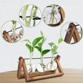 thumbnail image 5 of Terrario De Plantas, Macetero De Vidrio Para Colgar En La Pared Con Soporte De Madera Estación De Propagación De Mesa Florero De Bombilla Soporte Giratorio De Metal Estante Retro Con Florero, 5 of 5