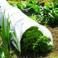 thumbnail image 2 of Greenhouse Tunnel Foil Plastic Horticultural Polythene Sheet Plant Cover, 2 of 6