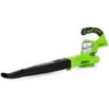 Greenworks 24V 85 CFM 130 MPH Cordless Leaf Blower/Sweeper (Tool-Only), 2400202