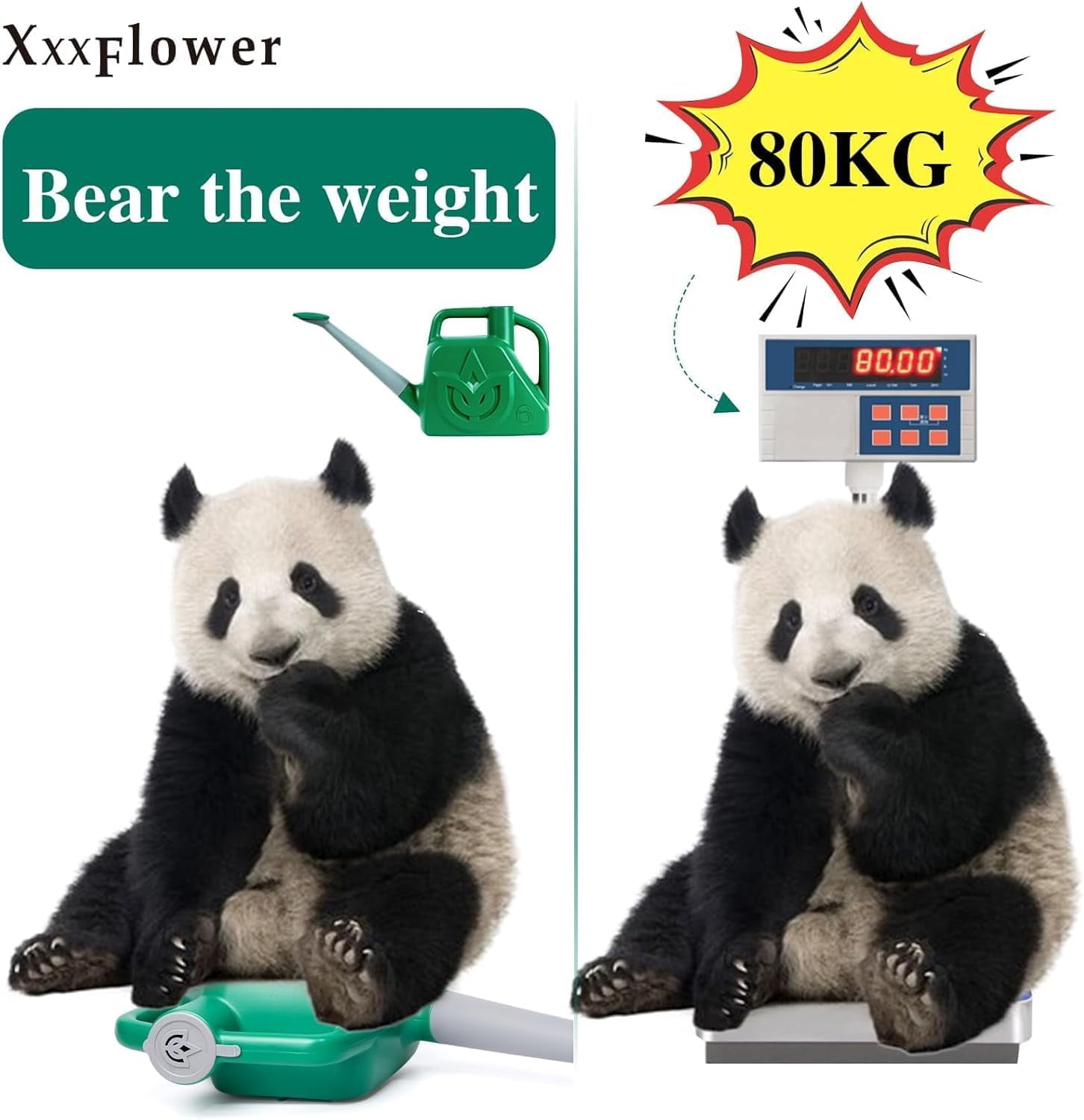 1.5 Gallon Green Watering Can Outdoor Garden Flower Plant, Lightweight 6 L Water Cans with Detachable Nozzle Watering Pot for Office House Garden