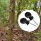 thumbnail image 5 of 50Pcs Electric Fence Ring Insulator Fencing Screw in Posts Wire, 5 of 5