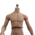 thumbnail image 4 of Escala 1/6 Acero Inoxidable Sin Costura Figura De Acción Muscular Masculina Cuerpo Piel Normal Y De Trigo Sunnimix Cuerpo de figura de acción masculina de 12 pulgadas, 4 of 8
