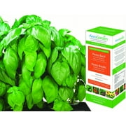 AeroGarden Pesto Basil Seed Pod Kit, 7 pod