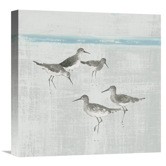 Global Gallery Avery Tillmon 'Sandpipers Square I Gray' Canvas Wall Art