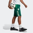 thumbnail image 4 of adidas Mexico National Team Men’s Tiro 23 ½ Training Pants, 4 of 4