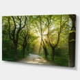 thumbnail image 3 of Designart Evening in Green Forest Canvas Wall Art, 3 of 4