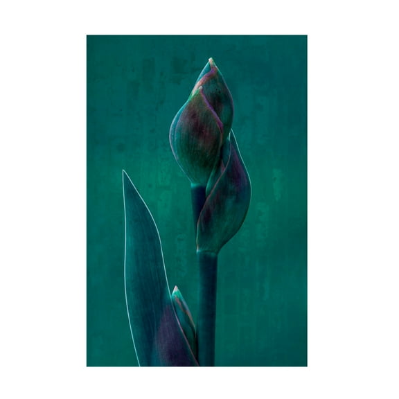 Canvas Wall Art - Chris Hamilton 'Blue Charade ' Wall Art for Living Room, Bedroom, or Office Décor by Trademark Fine Art - 12 x 19 Inches