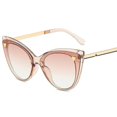 thumbnail image 2 of Lunettes de Soleil Il de Chat Classiques Unisexes Y1092, 2 of 4