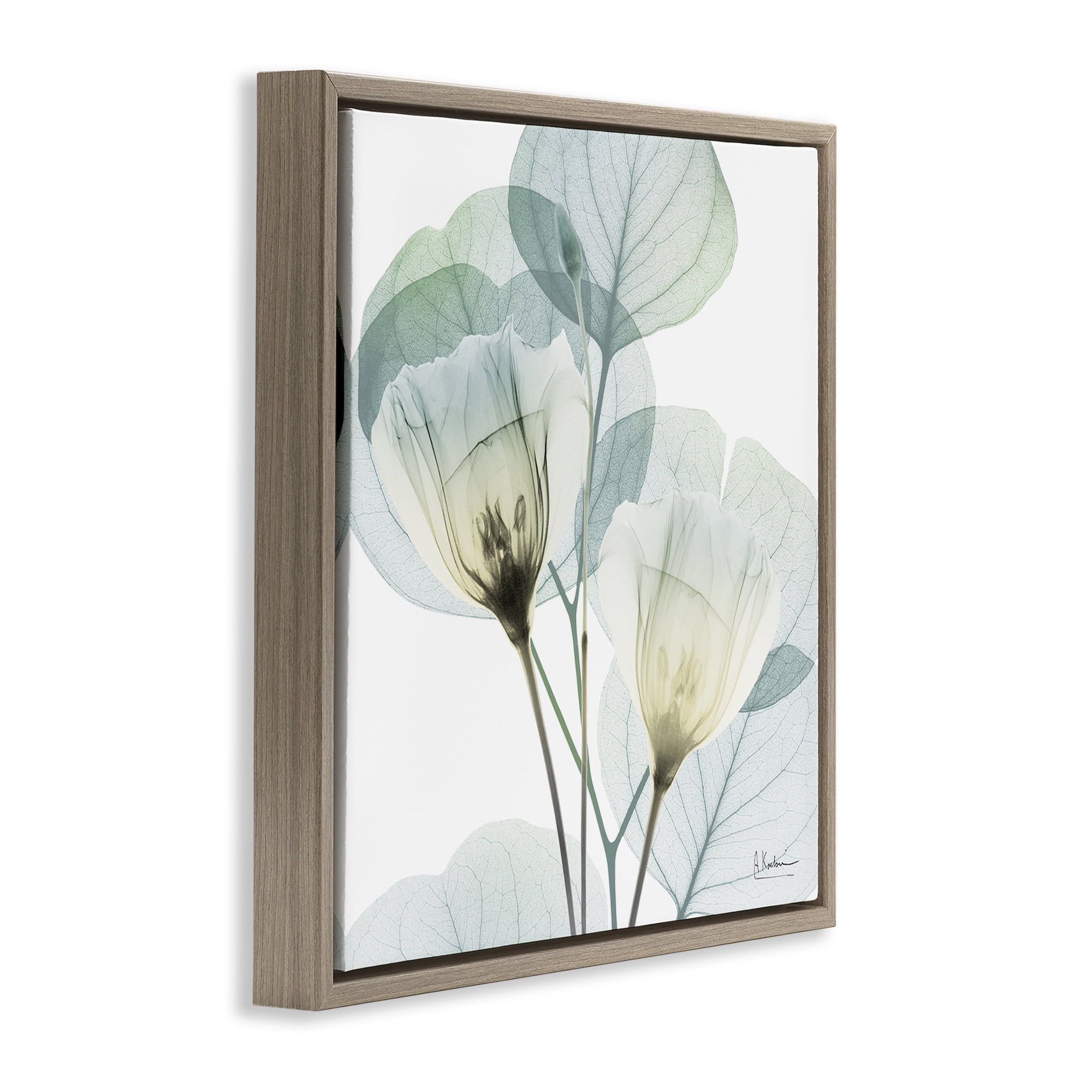 Stupell Industries Divine Fate Flower Leaves Brown Framed Floater Canvas Wall Art, design by Albert Koetsier