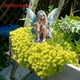 thumbnail image 4 of Estaca de jardín del Ángel Celestial - Decoración de jardín plana 2D con alas para decoración exterior de patios y escenas de patio, 4 of 4