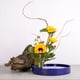 thumbnail image 2 of Jarrón redondo japonés Ikebana para plantas, jardín o balcón Azul 23cm 33cm, 2 of 9