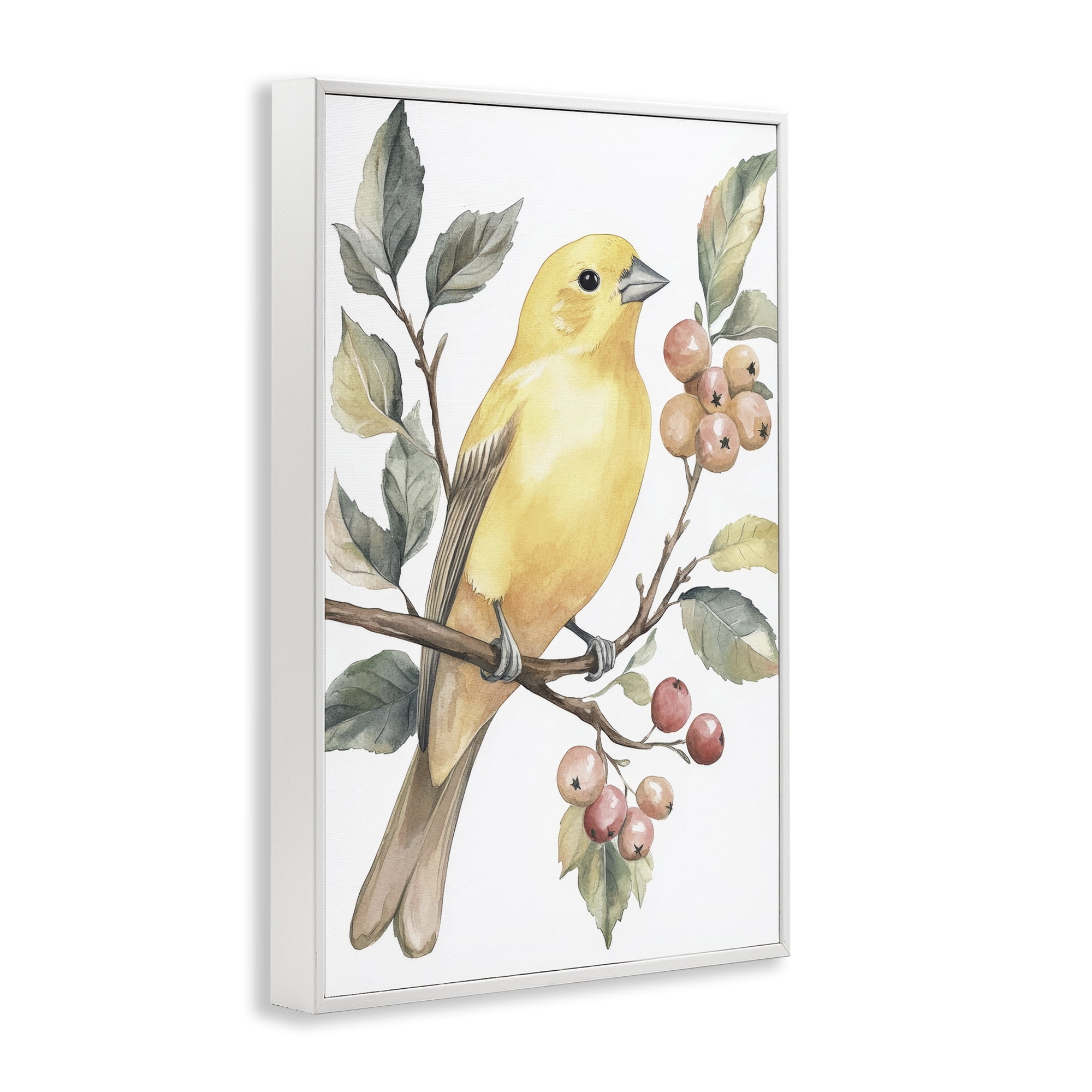 Stupell Industries Sun Lit Bird on Branch White Framed Giclee Art, design by Petal Prints Design