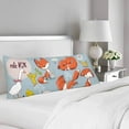 thumbnail image 2 of ABPHOTO Cute Fox and Farm Birds Body Pillow Covers Pillowcase 20x60 inch Colorful Animal Body Pillow Case Protector, 2 of 2