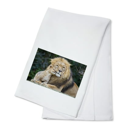 

Lion and Cub Cuddle (100% Cotton Tea Towel Decorative Hand Towel Kitchen and Home)