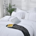 thumbnail image 6 of LadyAnn White Ruffle Tassel Comforter Set Queen Boho Chic Macrame Fringe Bedding with Cute Pillow Shams 3PCS Ultra Soft and Fluffy, 6 of 9