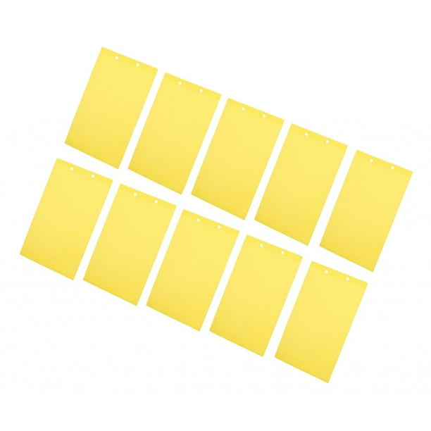 10 trampas adhesivas para insectos voladores, color amarillo