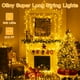 thumbnail image 2 of Cadena de luces Ollny, 64 m, 640 LED, 11 modos, control remoto IP44, 2 of 6